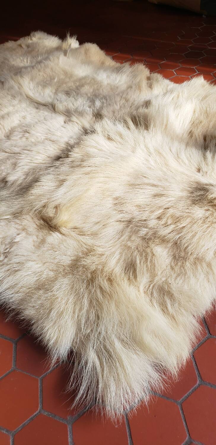 Beige goatskin rug in pair