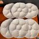 Series of 6 porcelain oyster plates