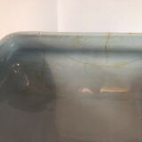 Blue vegetable in iron Earth