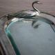 Foie gras presentation service dish in metal and glass and its toast holder