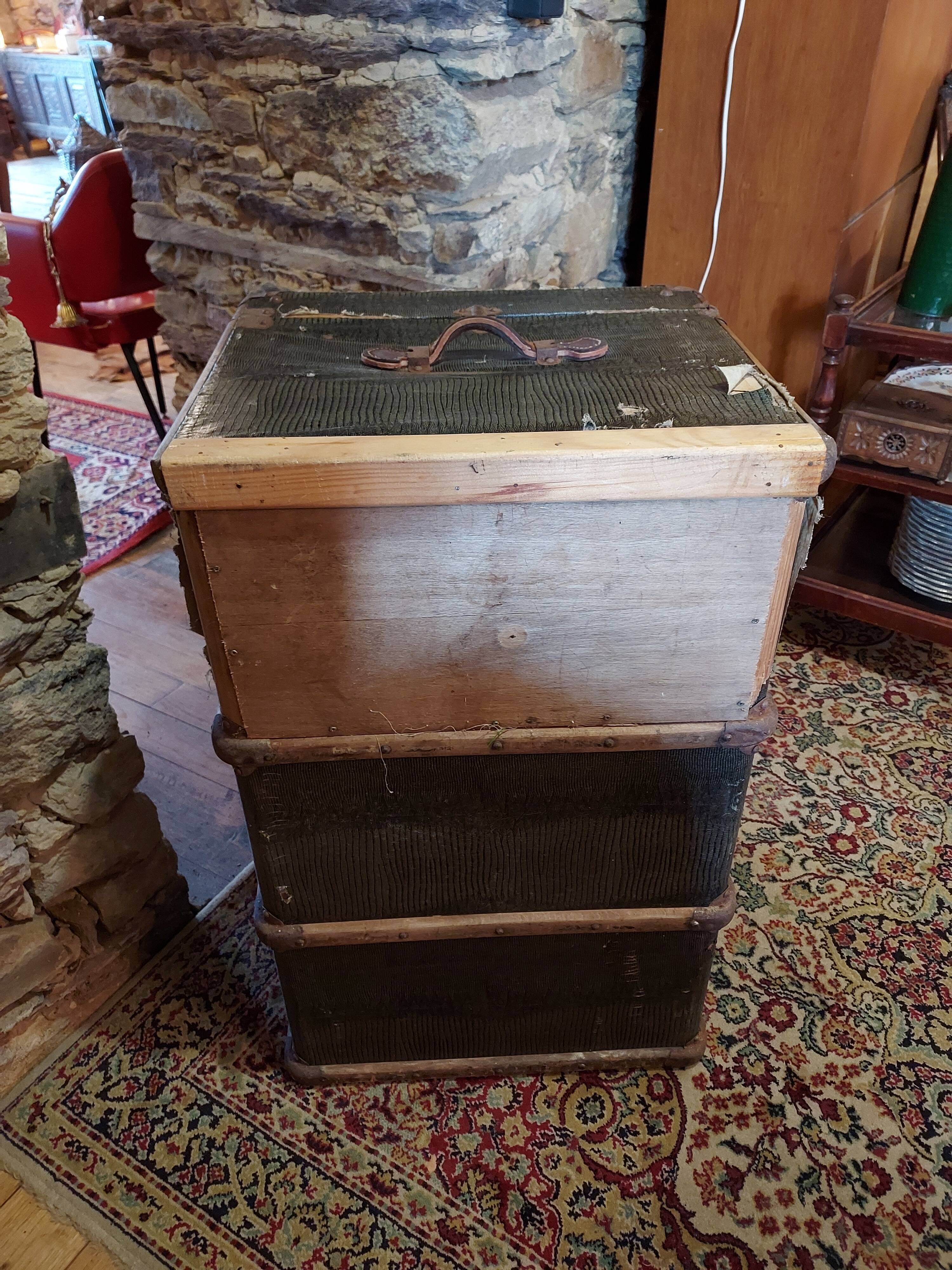 Trunk old snake skin pattern