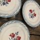 Lot of 6 plates Digoin Sarreguemines model Marinette