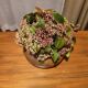 Vintage ceramic flower holder cushion