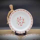 Set 6 flat plates Red and orange flowers