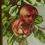 Set of 2 apple and cherry watercolors, framed