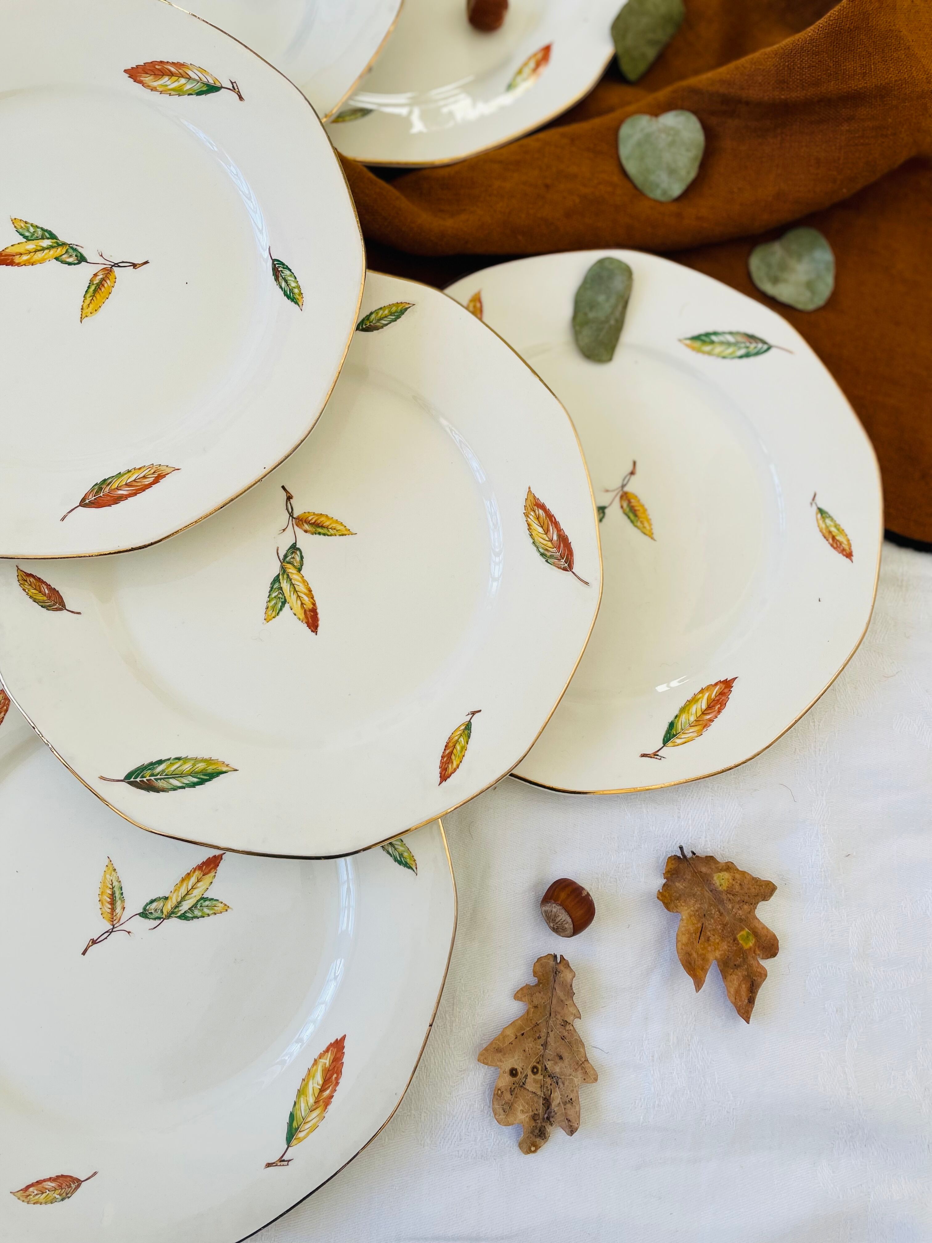 Set of 11 vintage flat plates Digoin Sarreguemines model Nemours