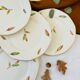 Set of 11 vintage flat plates Digoin Sarreguemines model Nemours