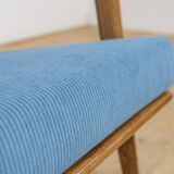 Model 300-139 Armchair from Swarzędz Factory, Poland, 1960s