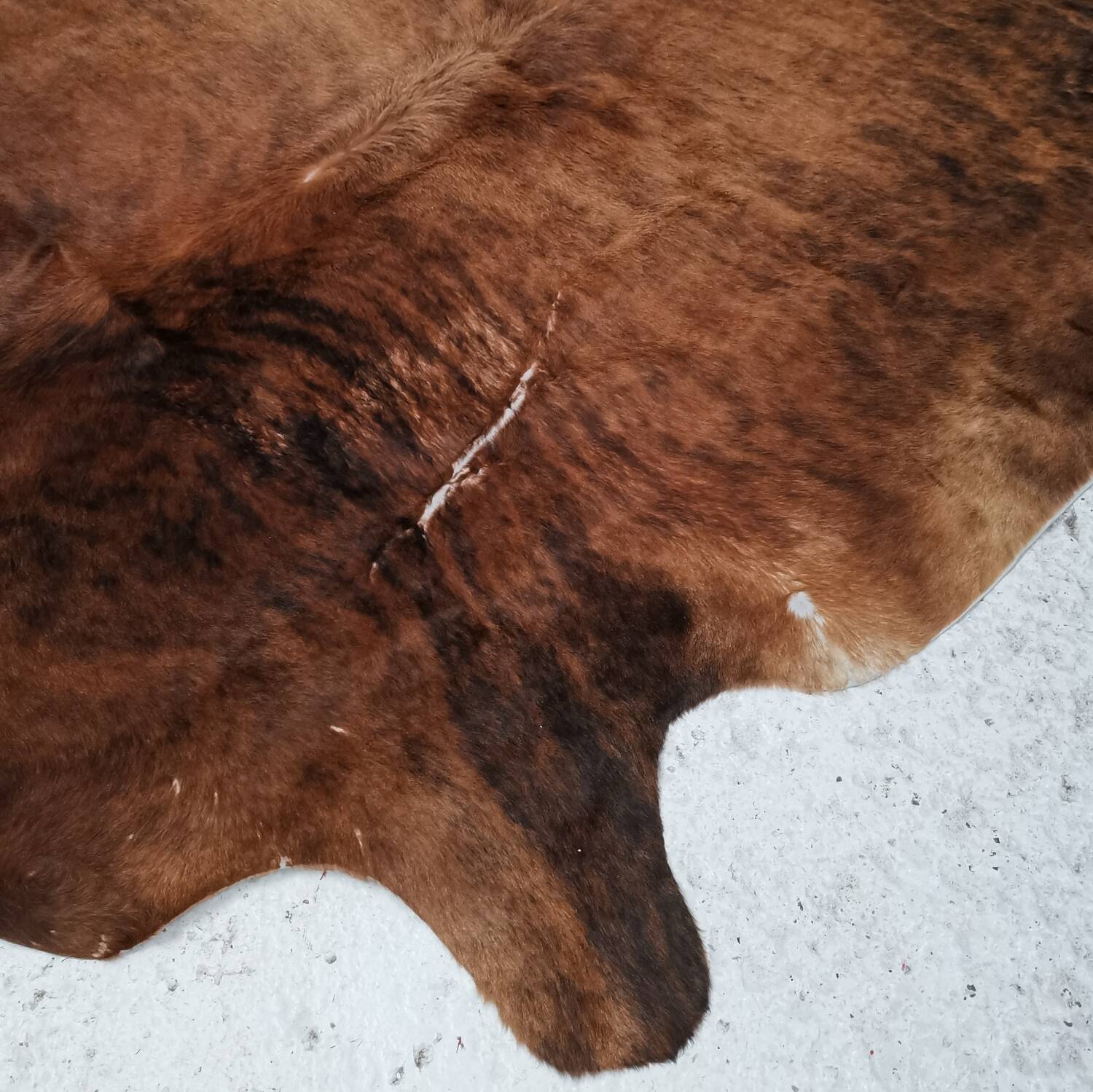 Large Zebu cowhide / rug, Brazil