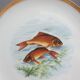 Set 12 plates porcelain fish edge laurel gold Bernardaud