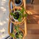 Vintage rattan plant stand – 1970s