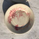 6 flat plates seen from oriental pink Shabby