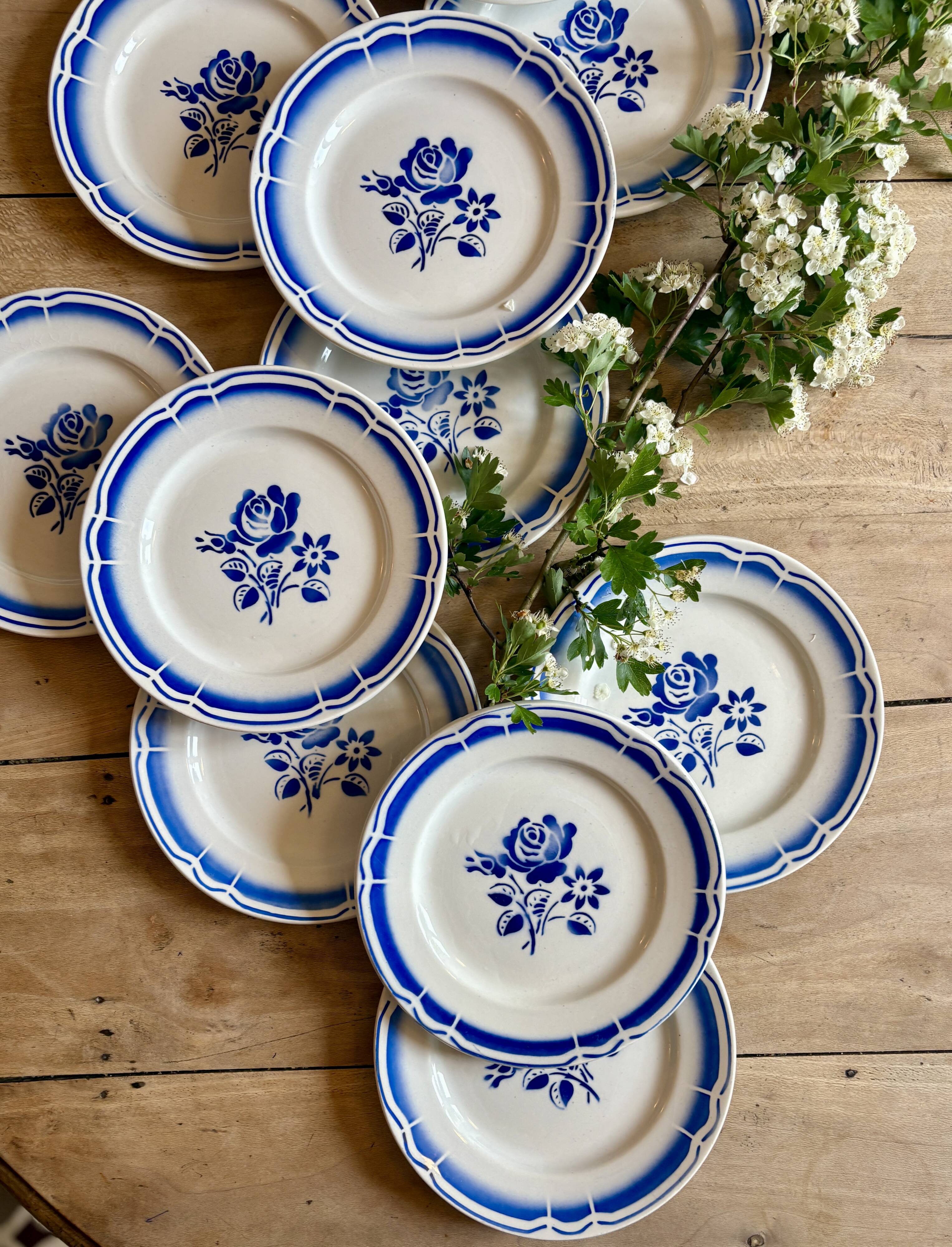 Set of 12 vintage blue flower dessert plates