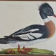 Animal lithography