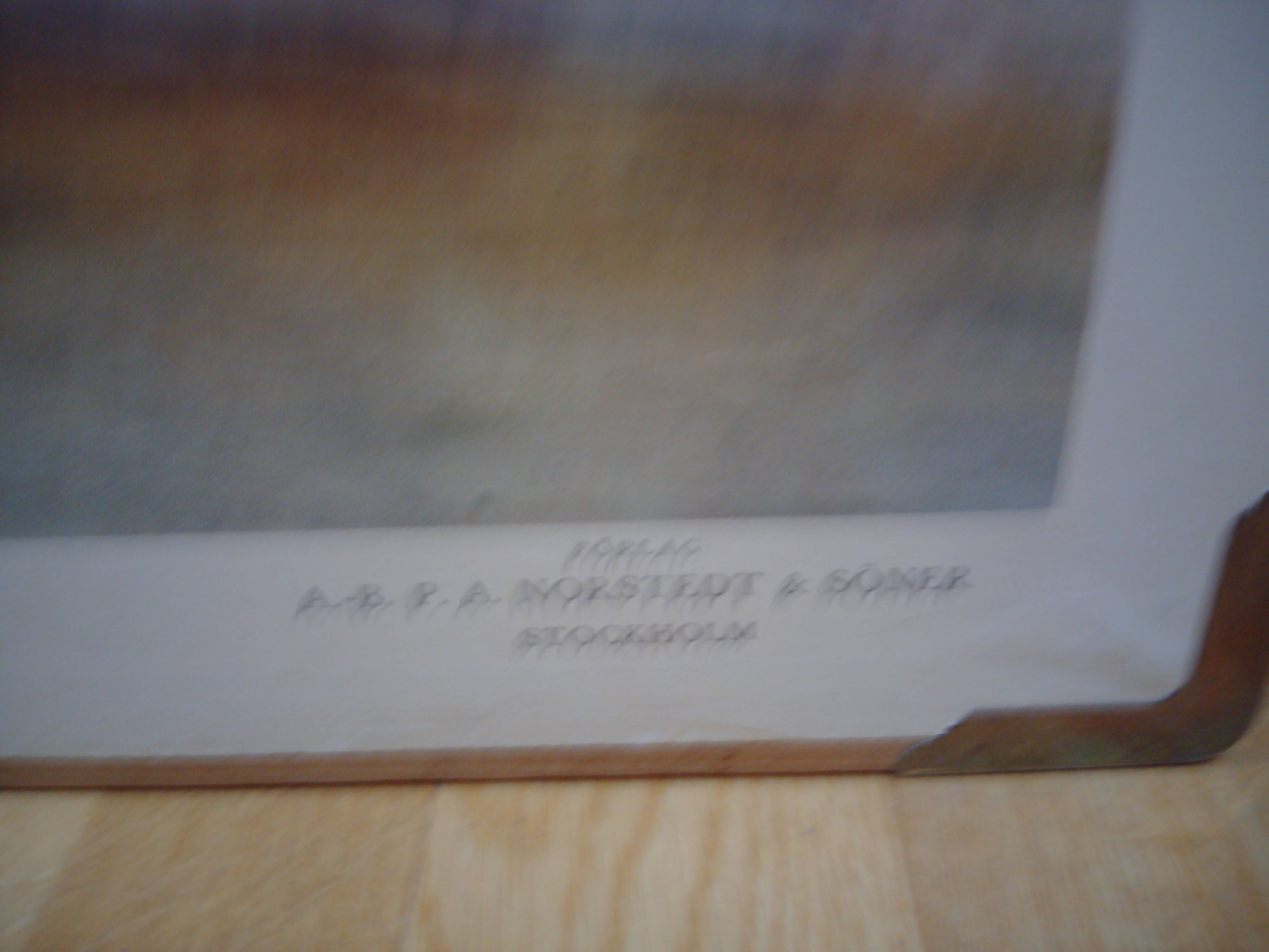 School poster, Giant Tortoise, 1940's, Sweden