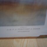 School poster, Giant Tortoise, 1940's, Sweden