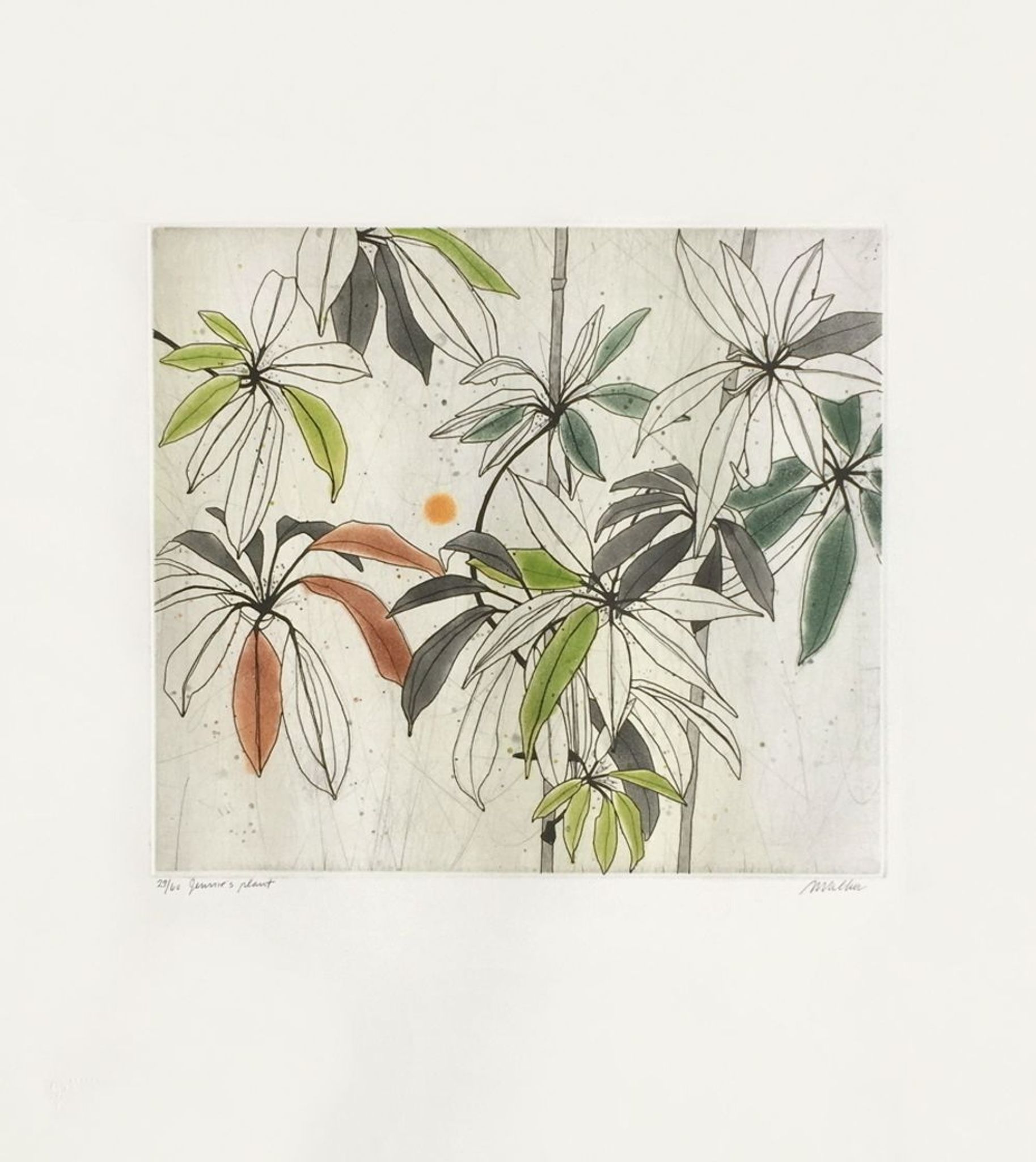 Anne walker jennie's plant engraving