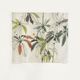 Anne walker jennie's plant gravure