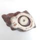 Pepper shell salt shaker oyster mustard pot ceramic fish