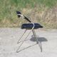 Armchair model "Rugby" design Gilbert Steiner Chrome and Black - 60s