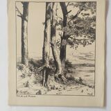 Antique print - Pine, sea and cliff - Lithograph from 1902