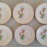 Plates Dessert Cake Old Earthenware Moulin des Loups Orchies Tulip Model