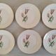 Plates Dessert Cake Old Earthenware Moulin des Loups Orchies Tulip Model