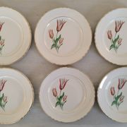 Plates Dessert Cake Old Earthenware Moulin des Loups Orchies Tulip Model