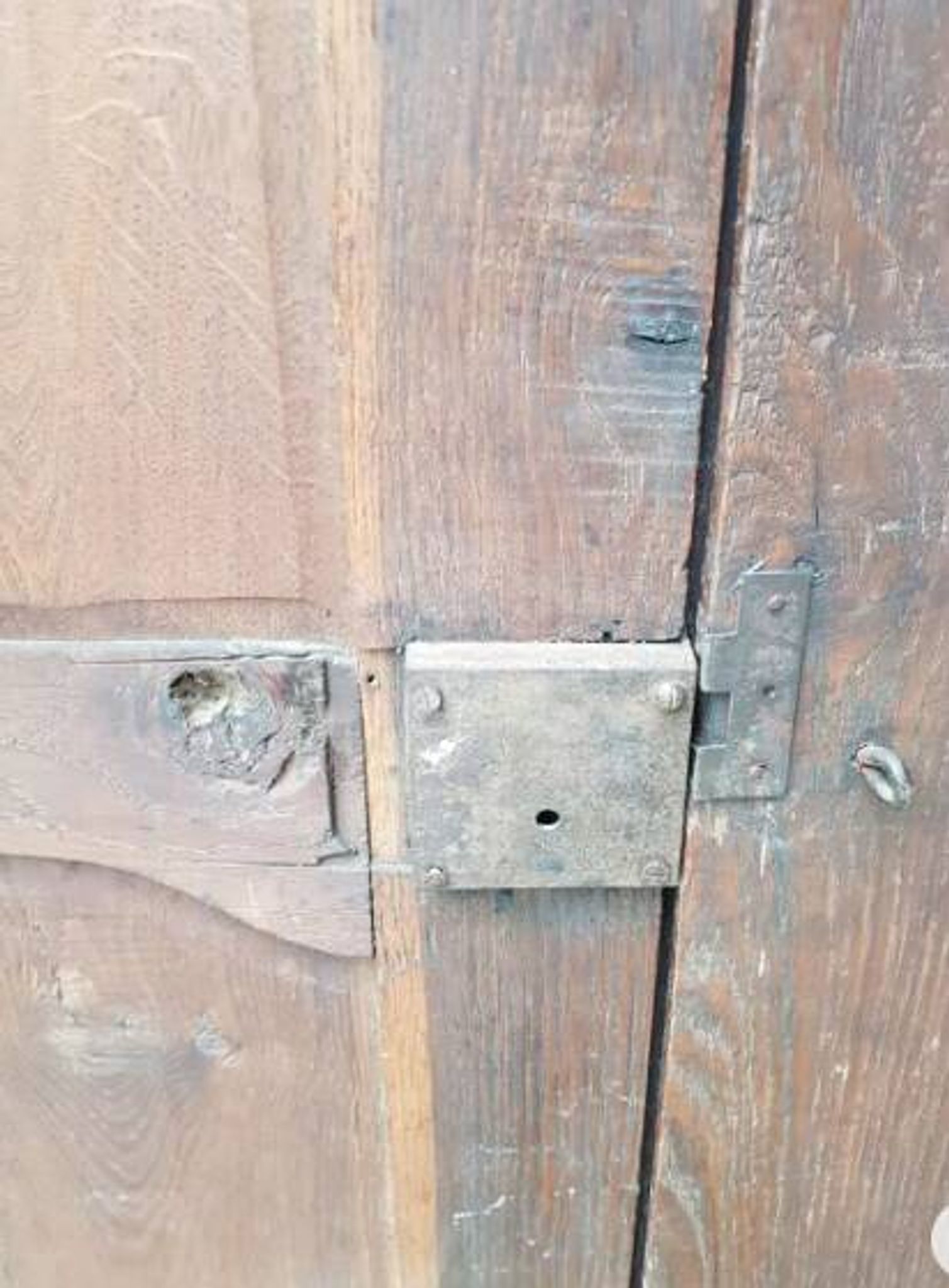 Antique double cupboard doors from the 19th century