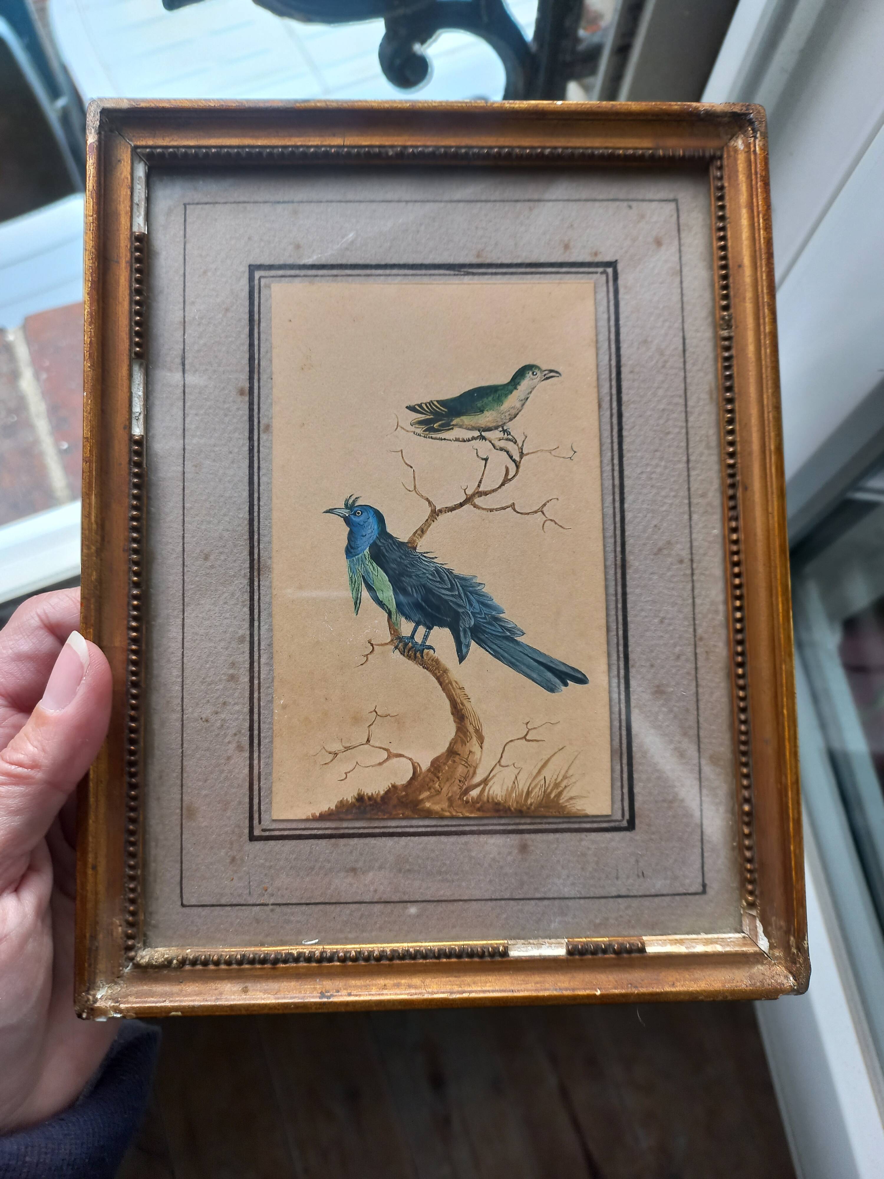 Golden table Blue birds Antique framed, Paris Gallery