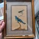 Golden table Blue birds Antique framed, Paris Gallery