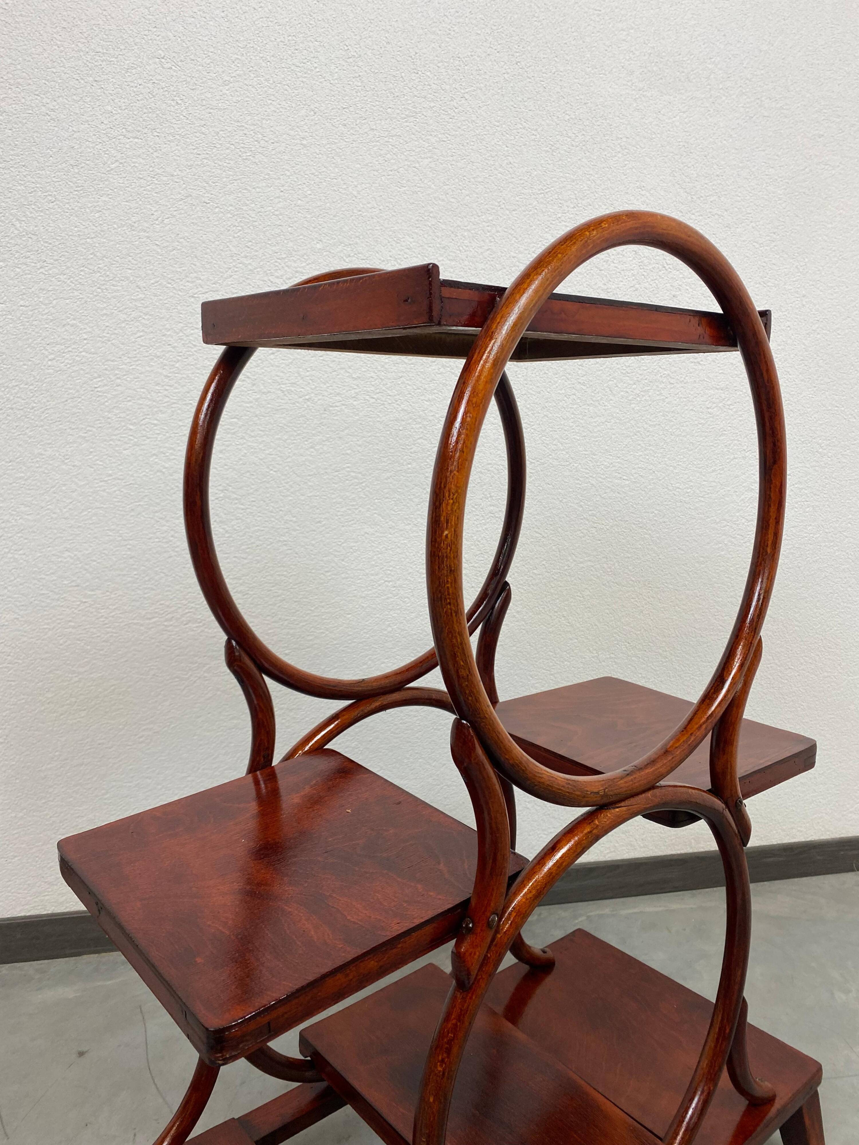 Porte-plante en bois courbé par Thonet