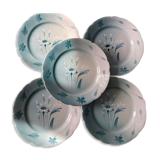 Set of 5 flat plates Luneville