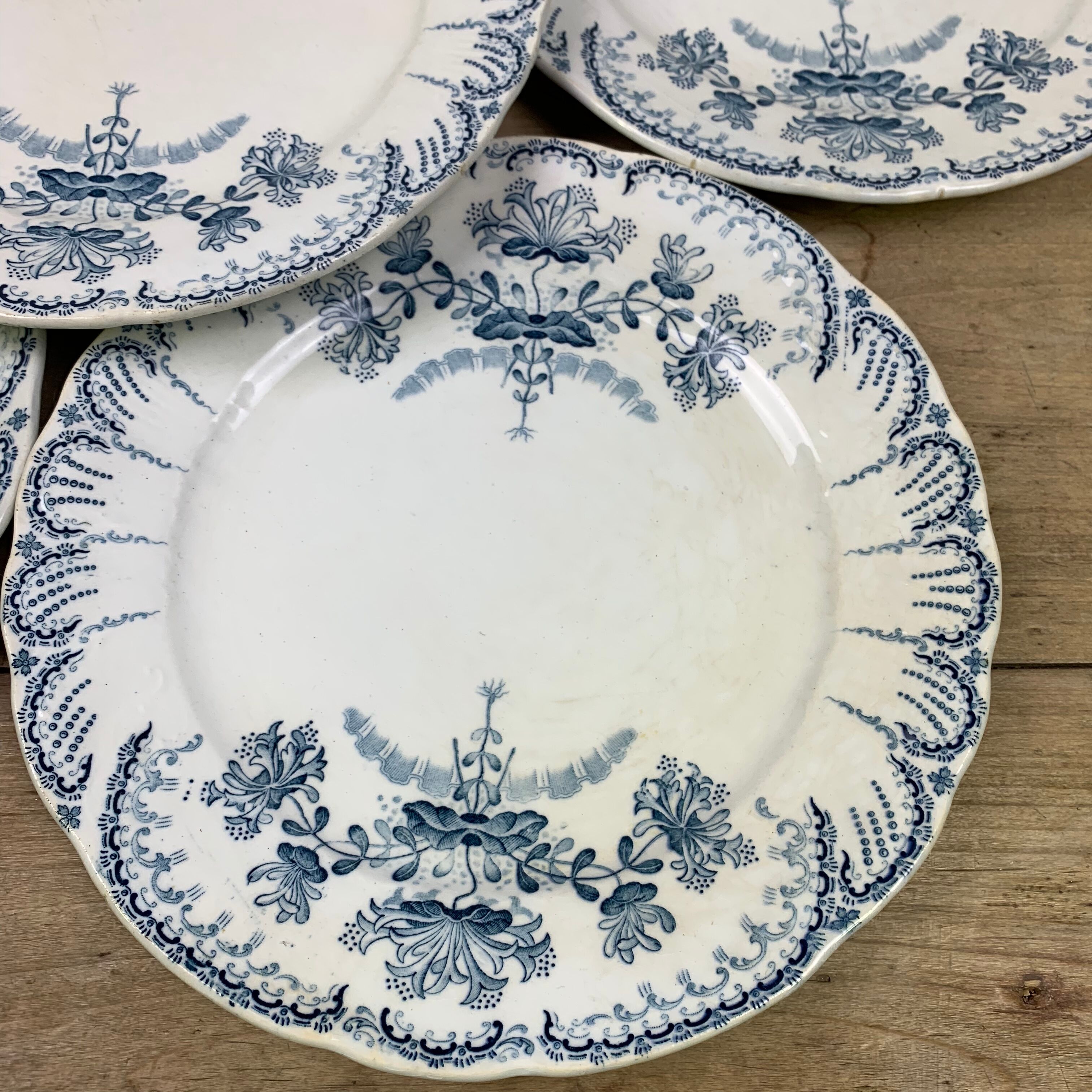 Set of 6 Saint Amand plates , Regency