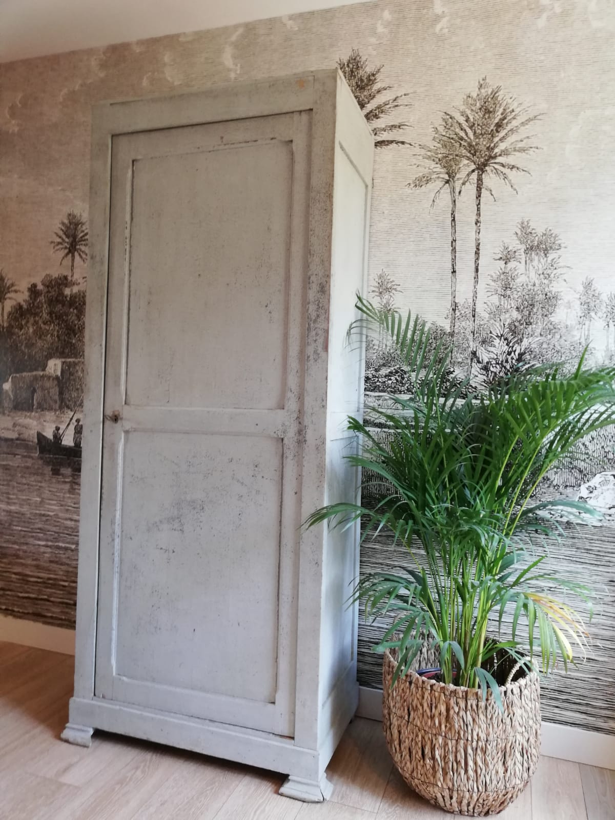 Old Parisian wardrobe 19th century