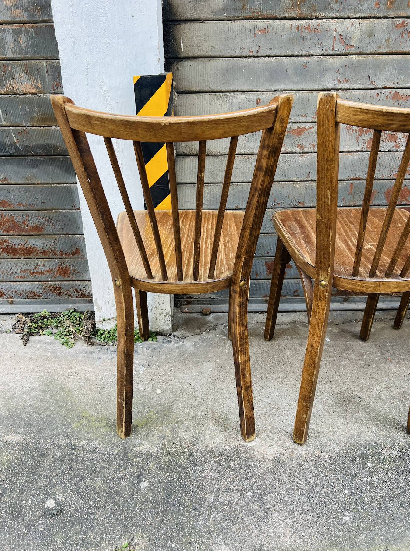 (Lot) 5 Baumann chairs model 83