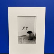 Photographie argentique d'artiste
