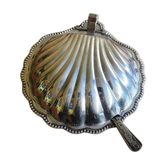 Beurrier seashell