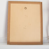 Engraving le Toco number 6 Jacques Barraband