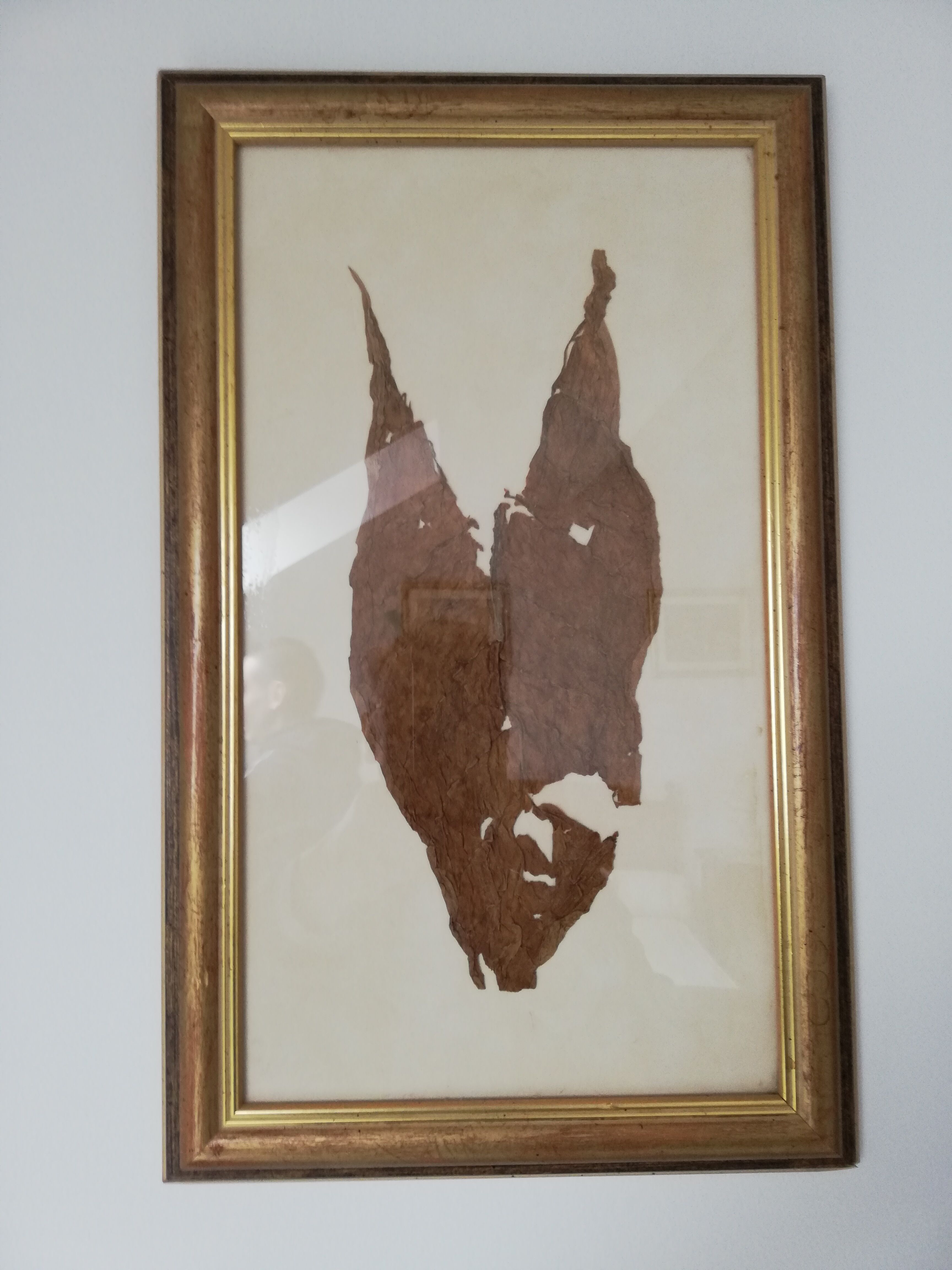 Tableau décoratif avec feuille de tabac de CUBA