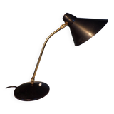 Hala articulated lamp