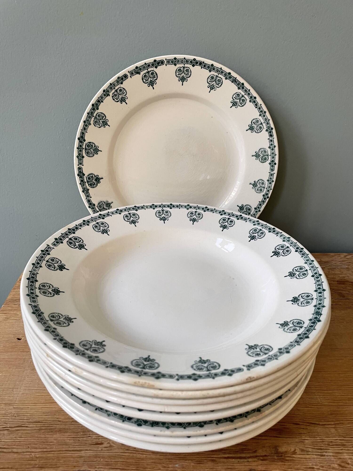 Set of 10 plates (5 flat and 5 hollow) in St Amand earthenware, Céranord