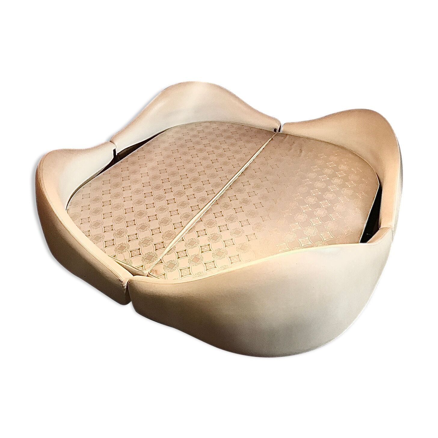 Anemone bed by Bernard Gauvin 1972