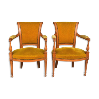 Pair of Directoire-style chairs in velvet cherry