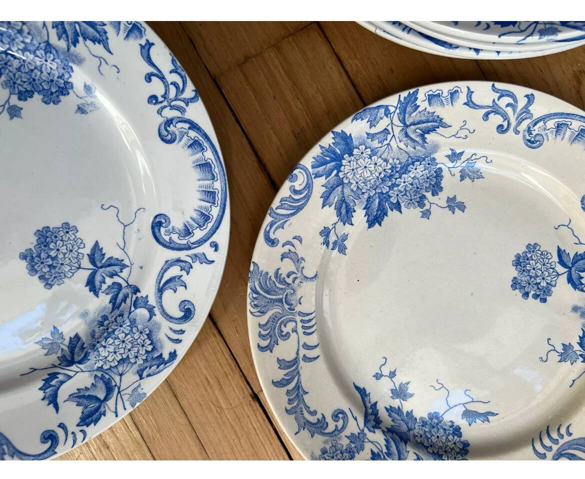 Set of 8 Terre de Fer Saint Amand & Hamage Snowball Plates