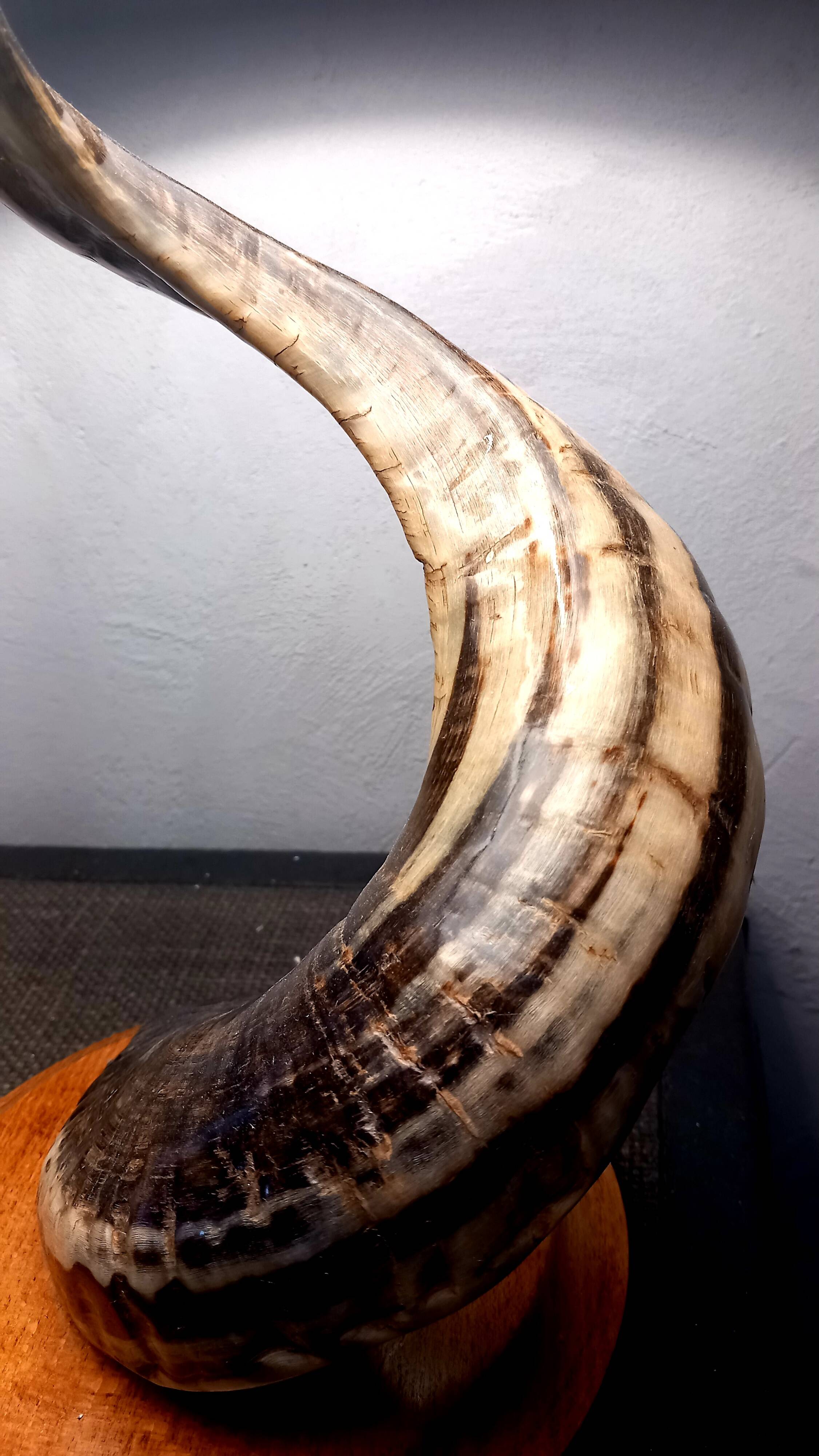 Brutalist Ram's Horn Living Room Lamp 1970