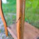 Louis XV style bedside table in wood veneer and marble