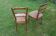 Pair of Napoleon III style chairs