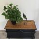 Chest in oak