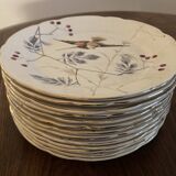 13 decorative plates with hummingbird design in fine earthenware by Mouzin Lecat, 19th century.